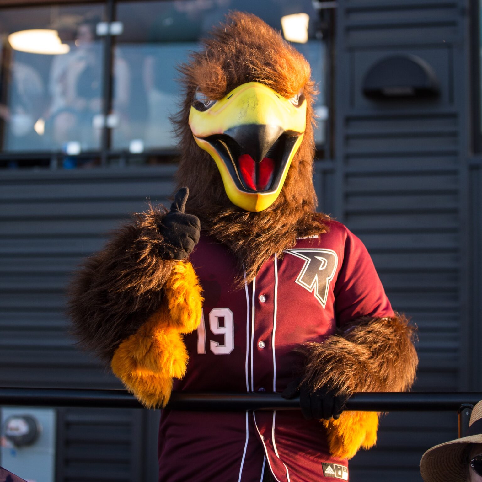 Mascot Appearance Request Form – Ridgefield Raptors