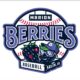 Marion Berries